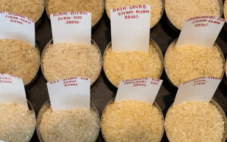 Giá gạo thế giới cao nhất trong 12 năm, dự báo còn tăng