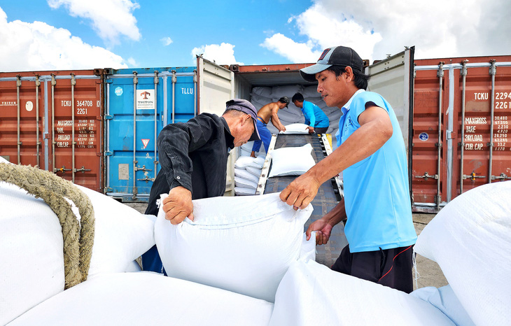 Một doanh nghiệp đóng thùng container để xuất khẩu tại cảng Mỹ Thới, TP Long Xuyên, An Giang - Ảnh: BỬU ĐẤU