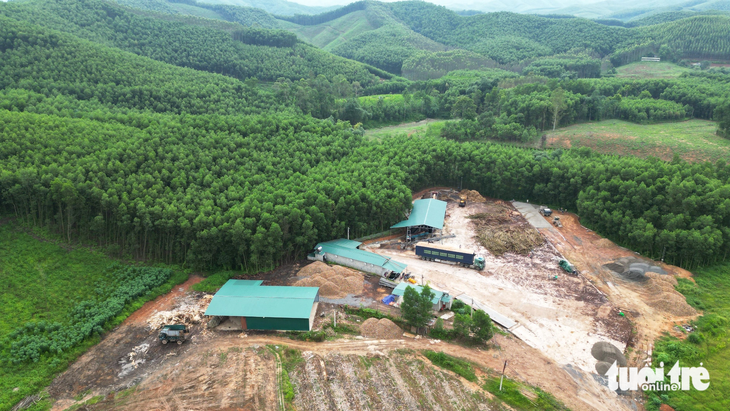 Khu xưởng chế biến gỗ trên đất rừng sản xuất chưa được cấp phép của ông Hoàng Văn Thanh tại xã Dương Hưu, huyện Sơn Động, tỉnh Bắc Giang - Ảnh: TIẾN THẮNG