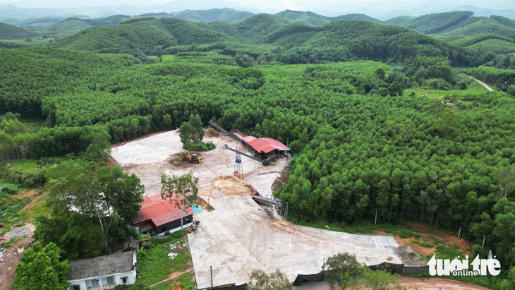 Một khu xưởng chế biến gỗ vi phạm khác tại xã Dương Hưu đã bị xử phạt nhưng sau đó diện tích lớn đất rừng sản xuất tiếp tục được đổ bê tông - Ảnh: TIẾN THẮNG