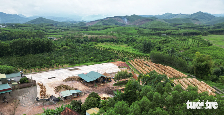 Khu chế biến gỗ quy mô khác cũng nằm trên đất rừng sản xuất được người dân phản ảnh chưa được cấp phép tại thôn Hạ, xã Long Sơn, huyện Sơn Động, tỉnh Bắc Giang - Ảnh: TIẾN THẮNG