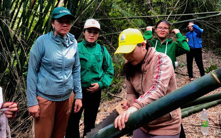 Thương các cô giáo mầm non vào rừng đốn tre nứa chuẩn bị lễ khai giảng