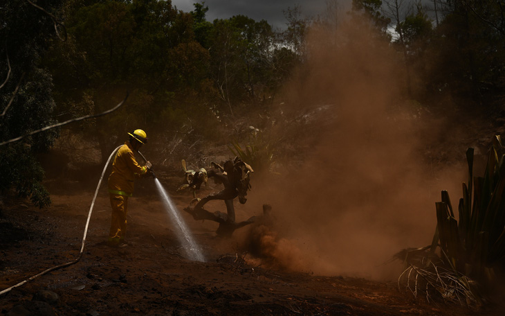 Gần 100 người chết, 1.300 người mất tích do cháy rừng Hawaii