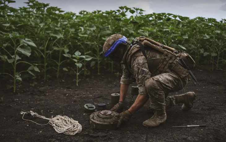 Các thành viên Lữ đoàn thủy quân lục chiến số 35 của quân đội Ukraine rà phá bom mìn tại một cánh đồng ở Donetsk - Ảnh: ANADOLU AGENCY