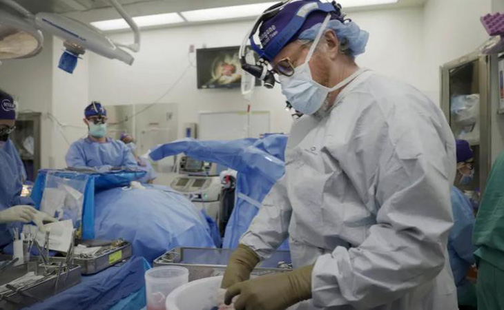 Dr. Robert Montgomery, director of the NYU Langone Transplant Institute, prepares a pig kidney for transplant to a brain-dead man in New York on July 14 - Photo: AP
