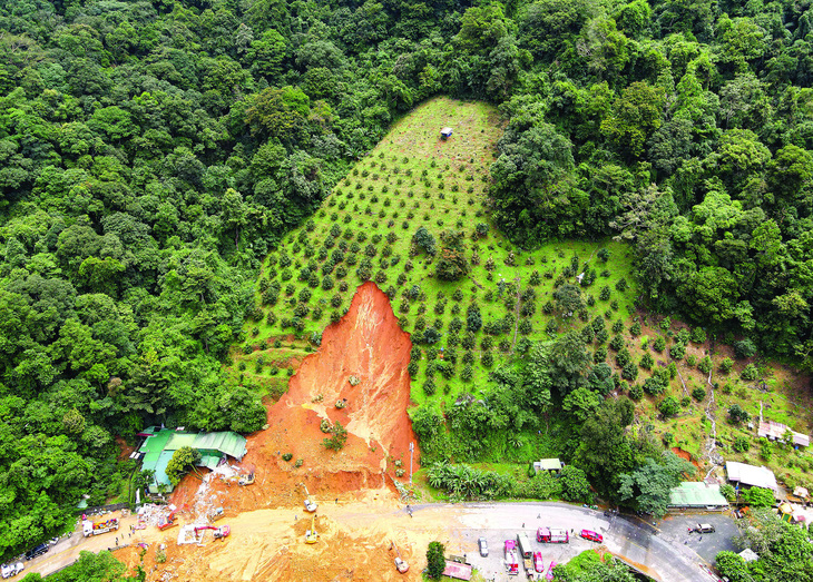 Đất rừng bị lấy trồng cây sầu riêng gây sạt lở ở đèo Bảo Lộc (Lâm Đồng). Ảnh: CHÂU TUẤN