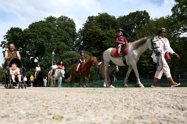 Paris sẽ cấm dịch vụ cưỡi ngựa con vào năm 2025 - Ảnh 1.