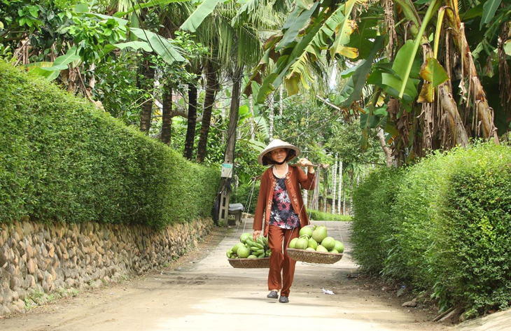 Một góc xanh thẳm làng Đại Bình, nơi được ví “làng trái cây Nam Bộ thu nhỏ” - Ảnh do UBND huyện Nông Sơn cung cấp