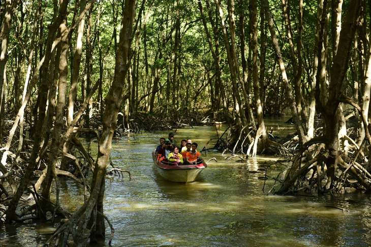 Bên trong khu dự trữ sinh quyển rừng ngập mặn Cần Giờ được đề cử thành khu Ramsar - Ảnh: QUANG ĐỊNH