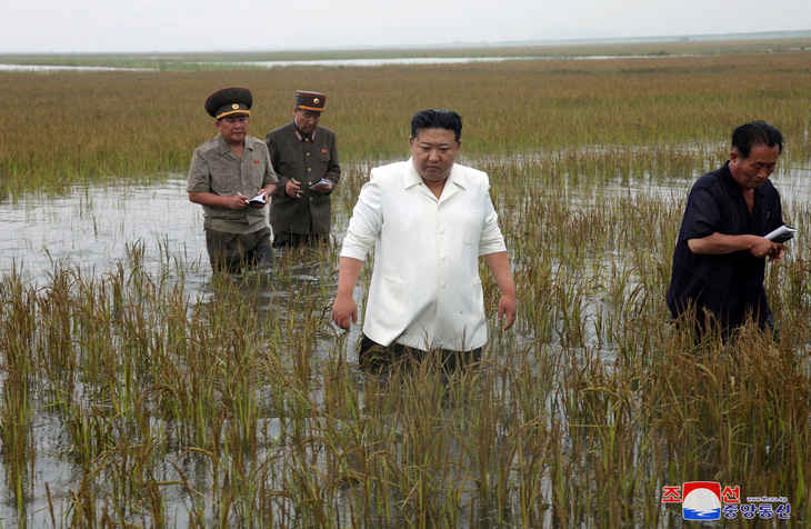 Nhà lãnh đạo Triều Tiên Kim Jong Un lội xuống ruộng xem xét tình hình ngập lụt - Ảnh: REUTERS