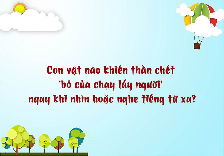 Câu đố hack não: Cái gì khoảnh khắc có 3 nhưng ngàn năm thì không? - Ảnh 7.