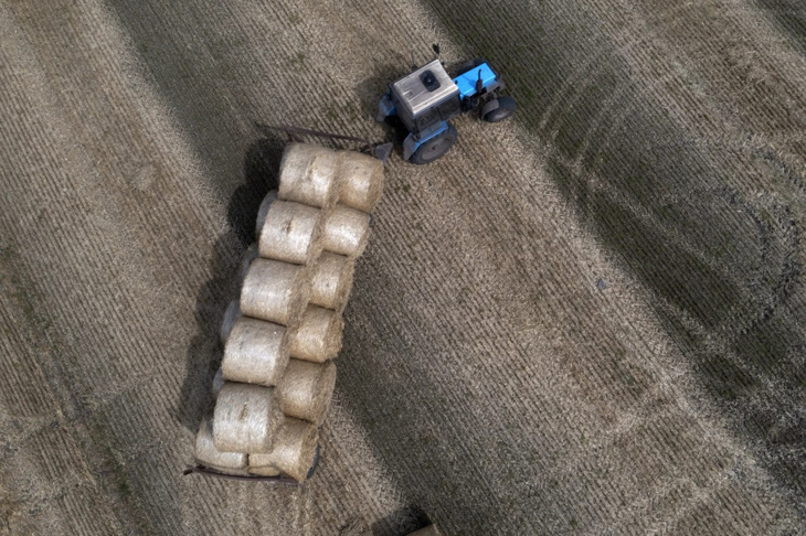 Một chiếc máy thu gom và cuộn rơm đang hoạt động trên cánh đồng của một trang trại tư nhân ở Zhurivka, vùng Kiev, Ukraine hôm 10-8 vừa qua - Ảnh: AP/Efrem Lukatsky