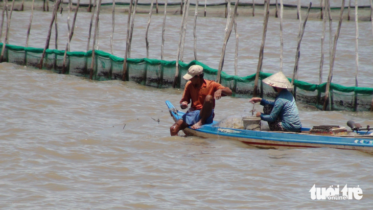 Người dân giăng lưới bắt cá trên cánh đồng xã Thường Thới Tiền, huyện Hồng Ngự - Ảnh: ĐẶNG TUYẾT