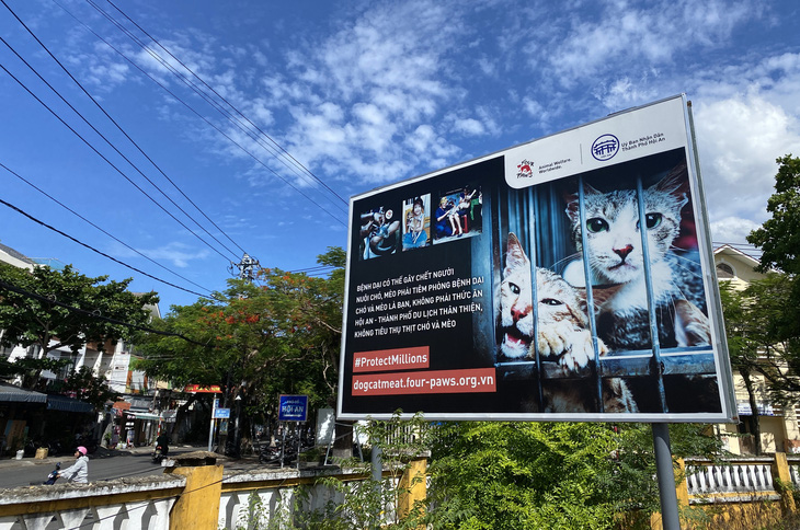 Panô tuyên truyền không ăn thịt chó mèo được đặt tại các trục đường thành phố Hội An - Ảnh: B.D.