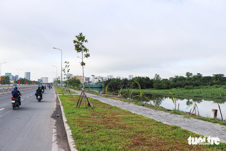 Một đoạn kênh rạch ven đường Nguyễn Văn Linh được dọn sạch sẽ và trồng cây xanh - Ảnh: CHÂU TUẤN