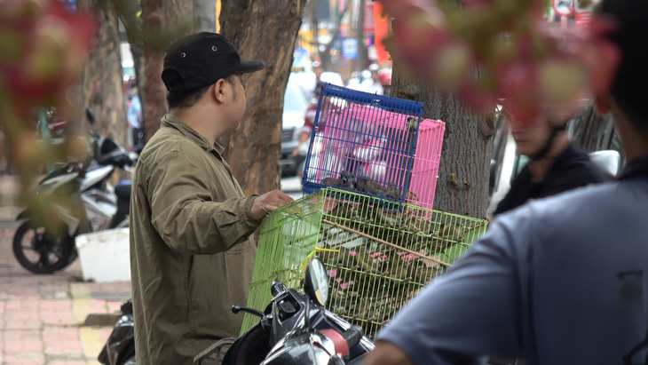 Một thanh niên bán chim phóng sinh trước cổng chùa ở Vũng Tàu sáng 30-8 - Ảnh: ĐÔNG HÀ 