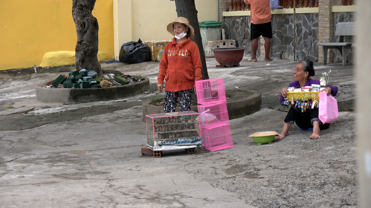 Người phụ nữ bày bán chim phóng sinh trước cổng chùa - Ảnh: ĐÔNG HÀ