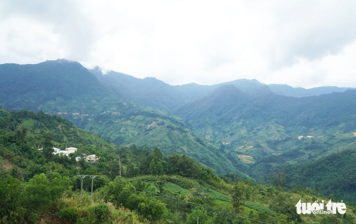 Đỉnh núi Ngọc Linh, nơi đang được người dân, doanh nghiệp trồng sâm dưới tán rừng - Ảnh: LÊ TRUNG