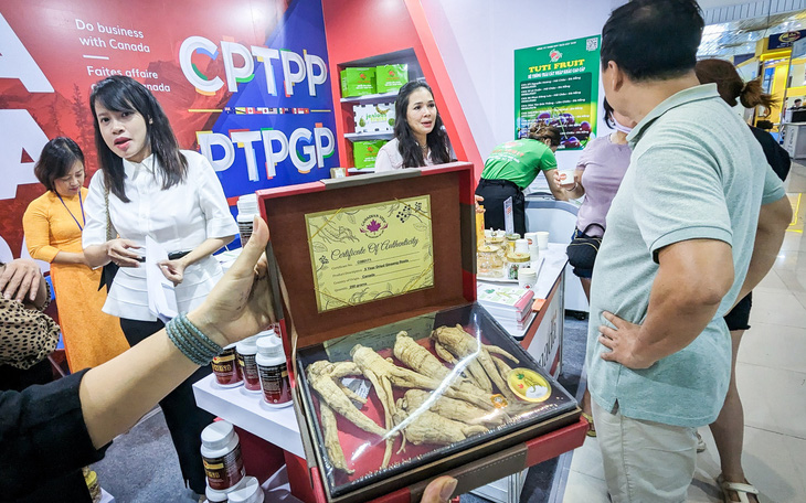 Nhân sâm, cherry, tôm hùm Canada rộng cửa vào Việt Nam