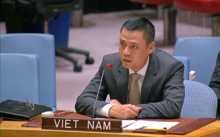 Đại sứ Đặng Hoàng Giang, trưởng Phái đoàn đại diện thường trực Việt Nam tại Liên Hiệp Quốc - Ảnh: TTXVN