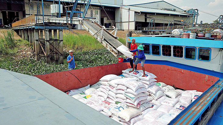 Vận chuyển gạo xuất khẩu tại một doanh nghiệp ở huyện Phú Tân, An Giang - Ảnh: CHÍ QUỐC