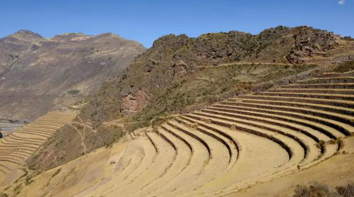 Một ví dụ về ruộng bậc thang Inca cổ đại nằm ở Andes của Peru ở độ cao 3,5km so với mực nước biển - Ảnh: FREDERIC SOLTAN 