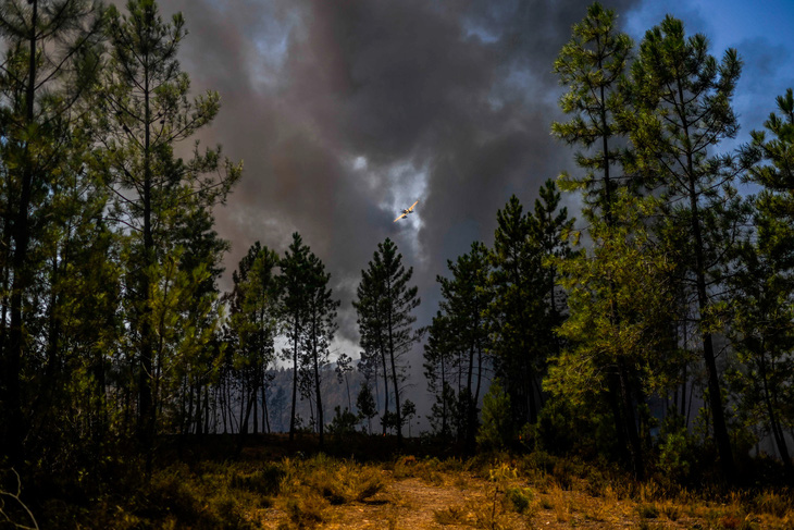 Một máy bay cứu hỏa trên bầu trời ám khói ở huyện Proenca a Nova, Bồ Đào Nha vào hôm 6-8 - Ảnh: AFP