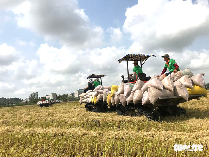 Nông dân ĐBSCL thu hoạch lúa vụ hè thu