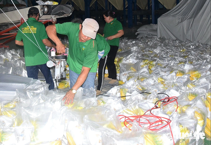 Đóng gói gạo xuất khẩu tại Công ty TNHH xuất nhập khẩu Chơn Chính (huyện Tháp Mười, Đồng Tháp) - Ảnh: Đ.TUYẾT