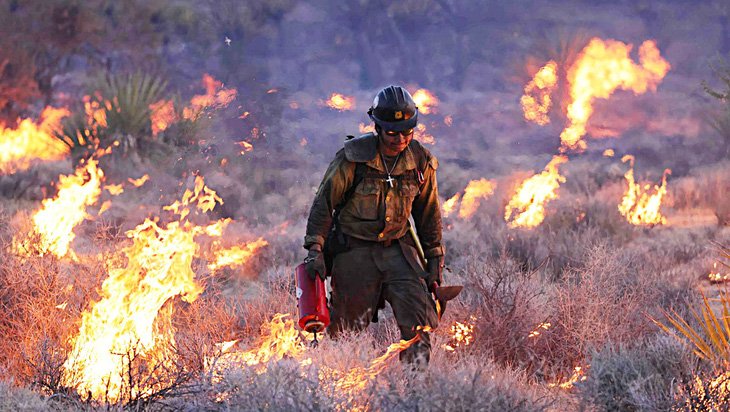Cháy rừng ở California, Mỹ cuối tháng 7-2023 - Ảnh: AFP