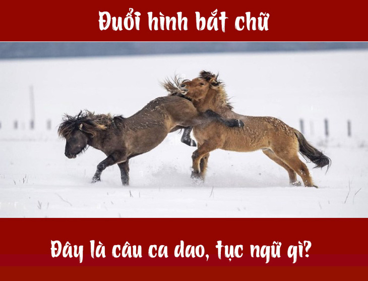 Câu ca dao, tục ngữ 'khó nhằn' này là gì? (P40) - Ảnh 4.