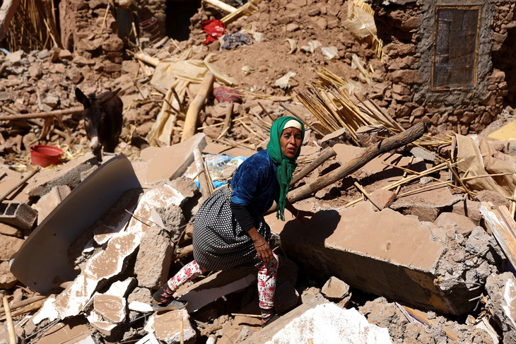 Một người dân cố gắng giải cứu con dê của mình sau trận động đất chết người ở Tinmel, Morocco, ngày 11-9 - Ảnh: REUTERS