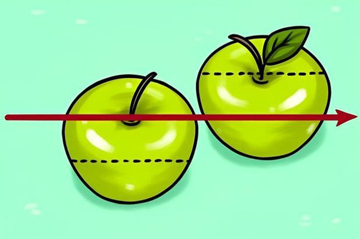 Câu đố toán học: Cắt 2 quả táo thành 3 phần bằng nhau - Ảnh 1.