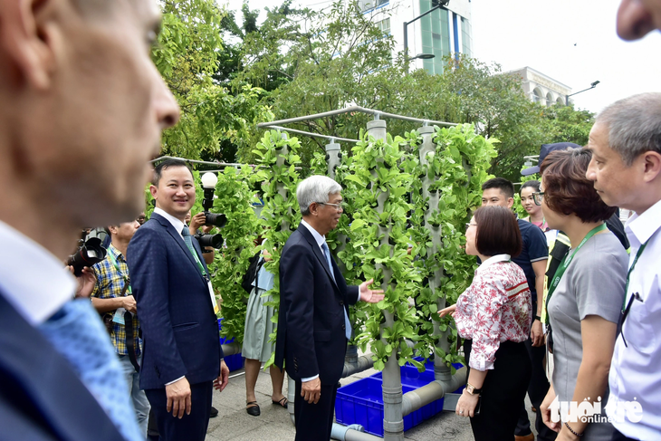 Hợp tác xã Tam nông Việt Nam gây ấn tượng mạnh với khách tham quan khi đem vườn rau xanh mướt tới phố đi bộ - Ảnh: NHẬT XUÂN