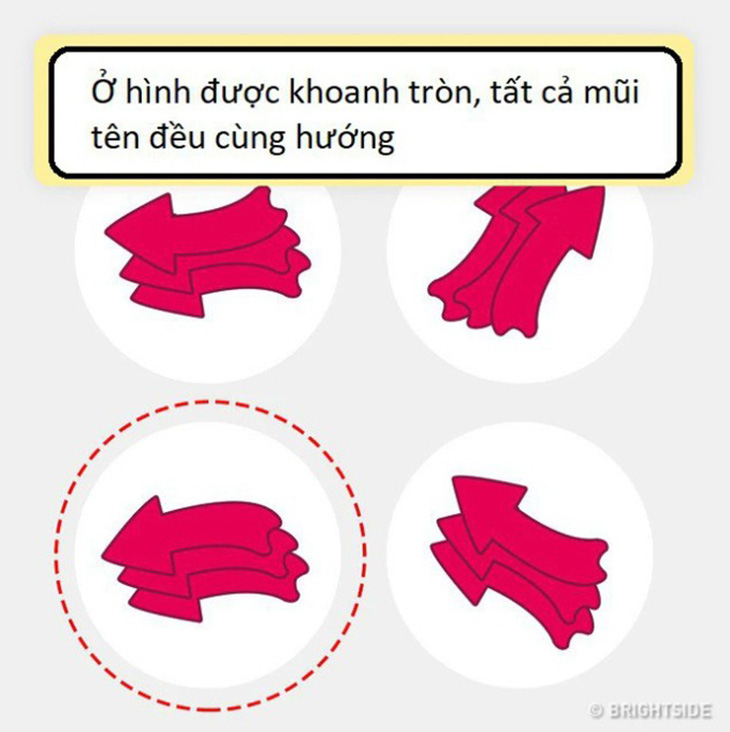 5 câu đố không dành cho người kém thông minh - Ảnh 1.