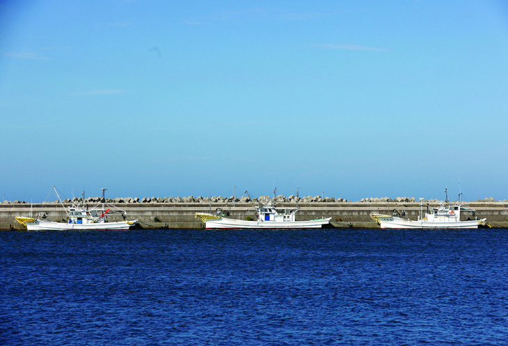 Thuyền đánh cá neo đậu tại cảng cá ở Soma, cách nhà máy hạt nhân Fukushima Daiichi 45km, ngày 31-8-2023. Ảnh: REUTERS