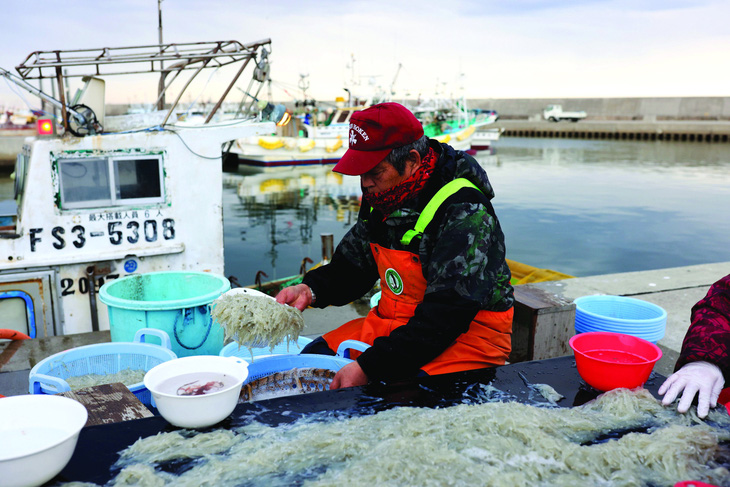 Haruo Ono rửa cá vừa đánh bắt trước khi mang bán tại cảng cá Tsurishihama ở Shinchi-machi. Ảnh: REUTERS
