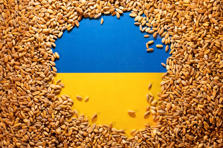 Ukraine cho rằng các lệnh cấm nhập khẩu ngũ cốc của nước này sau ngày 15-9 đều bất hợp pháp - Ảnh minh họa: REUTERS