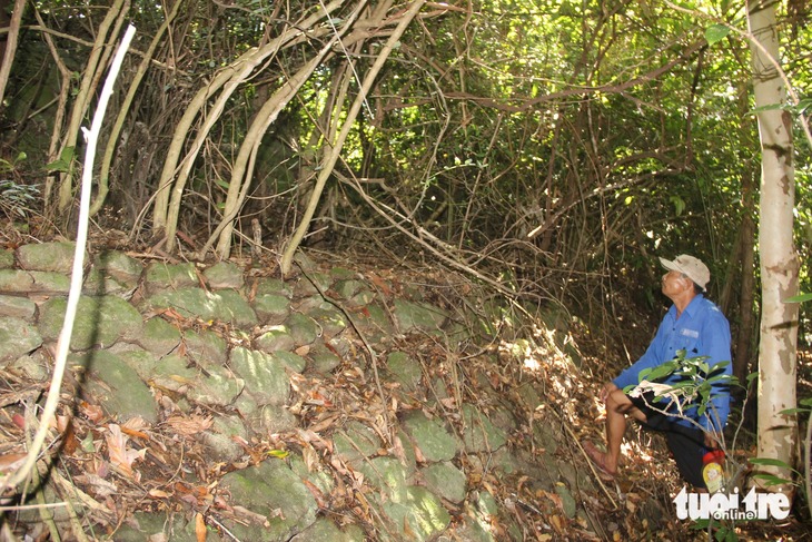 Bờ hào di tích trạm Nam Chơn dưới nhiều lớp cây cối - Ảnh: TRƯỜNG TRUNG
