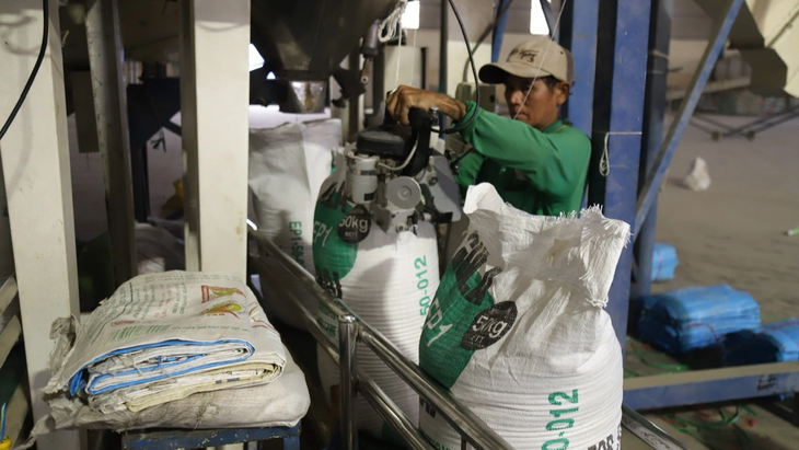 Ngân hàng Nhà nước khẳng định sẽ nỗ lực tháo gỡ khó khăn, bơm vốn cho hoạt động sản xuất kinh doanh, nhất là lĩnh vực lúa gạo và thủy sản. Trong ảnh: chế biến gạo xuất khẩu tại huyện Phú Tân, An Giang - Ảnh: CHÍ QUỐC