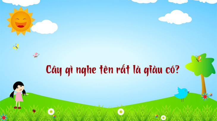 Câu đố hack não: Cái gì luôn ở dưới đất mà không bao giờ bẩn? - Ảnh 7.