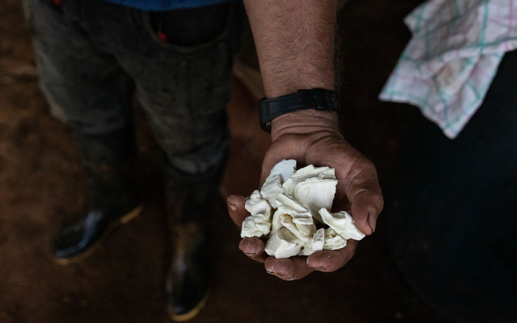 Cocaine sắp trở thành mặt hàng xuất khẩu số 1 của Colombia