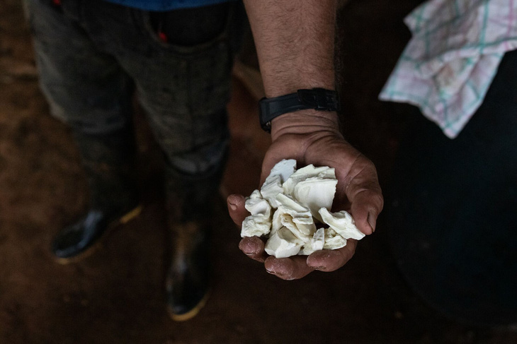 Bột coca khô được sản xuất ở tỉnh Guaviare, miền nam Colombia - Ảnh: BLOOMBERG