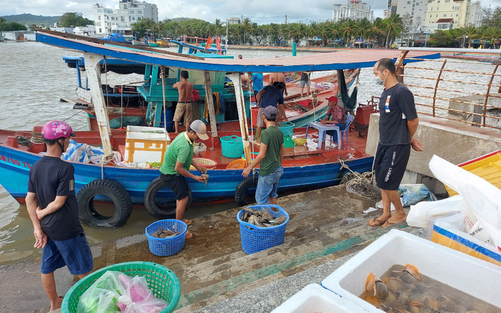 Dân Phú Quốc rộn ràng đánh bắt ruốc trên biển - Ảnh 9.