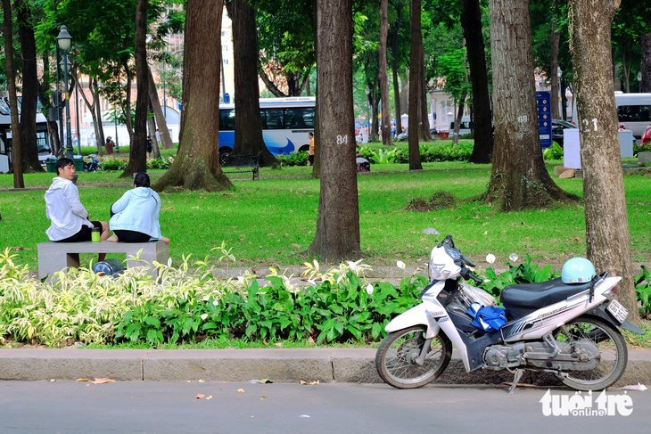 Người đàn ông ngồi hóng mát trong công viên 30 Tháng 4 (quận 1) vẫn không quên quan sát xe mình đậu dưới lòng đường - Ảnh: PHƯƠNG NHI