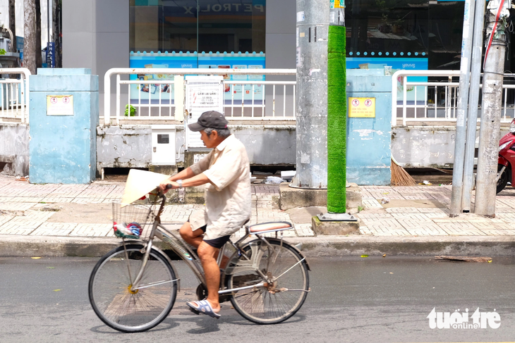 Cột đèn, cột điện được quấn cỏ nhựa cao khoảng 2,5 mét trên địa bàn quận 5, TP.HCM - Ảnh: PHƯƠNG NHI