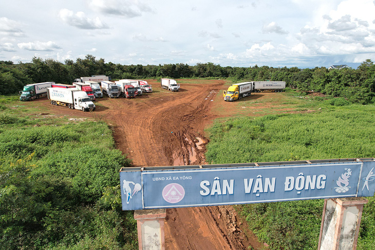 UBND huyện Krông Pắk cho phép xe container tập kết ở sân vận động và một số bãi đất trống khác chờ bốc hàng nhưng do lưu lượng xe lớn, thường gây kẹt xe  - Ảnh: T.TÂN