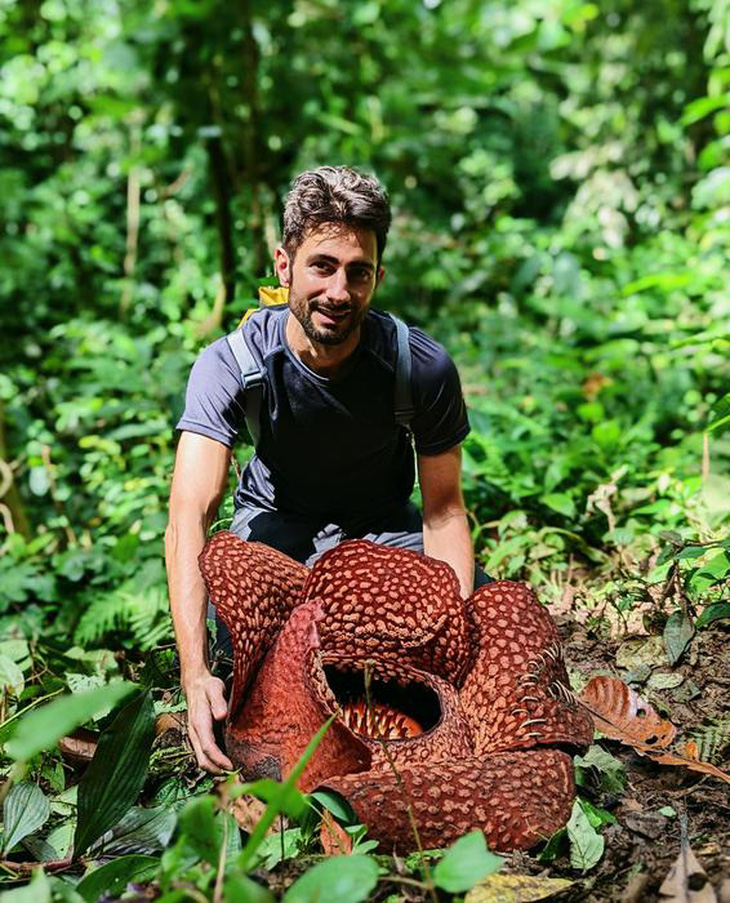 Loài hoa lớn nhất thế giới, Rafflesia - Ảnh: TS Chris Thorogood