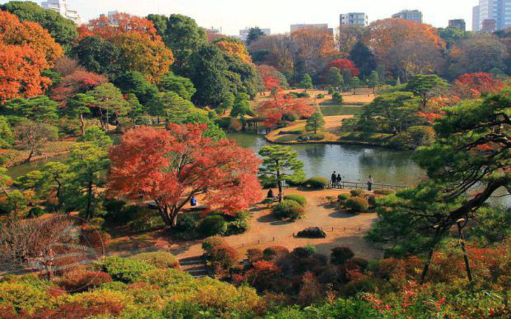 Lý do du khách Việt thích du lịch Nhật Bản mùa lá đỏ - Ảnh 1.