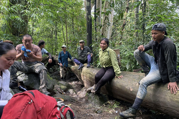 Một đoàn tình nguyện vào rừng tìm kiếm tung tích ông K'Sơ - Ảnh: KÁ TUYỀN